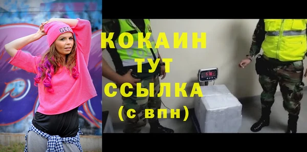мет Пересвет