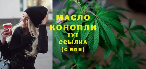 гидра Осинники