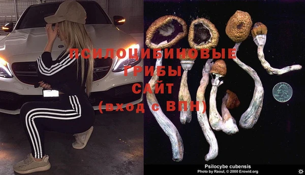 мет Пересвет