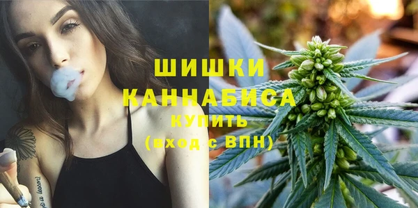 мет Пересвет