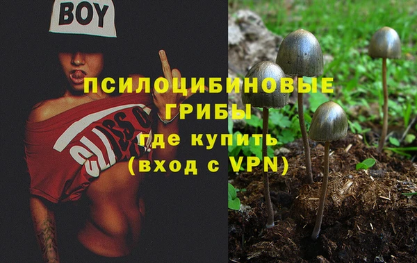 скорость Пестово