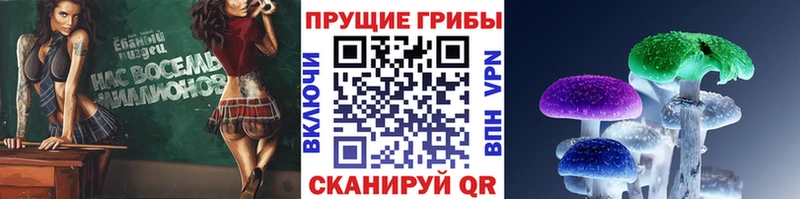 даркнет сайт  Котлас  Галлюциногенные грибы Magic Shrooms 