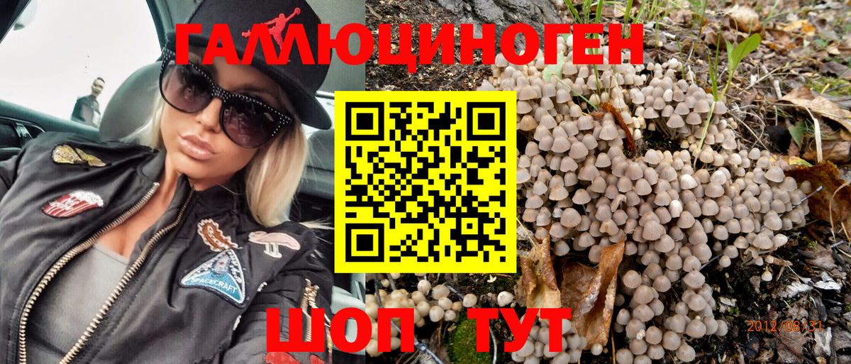 Галлюциногенные грибы Psilocybe Котлас