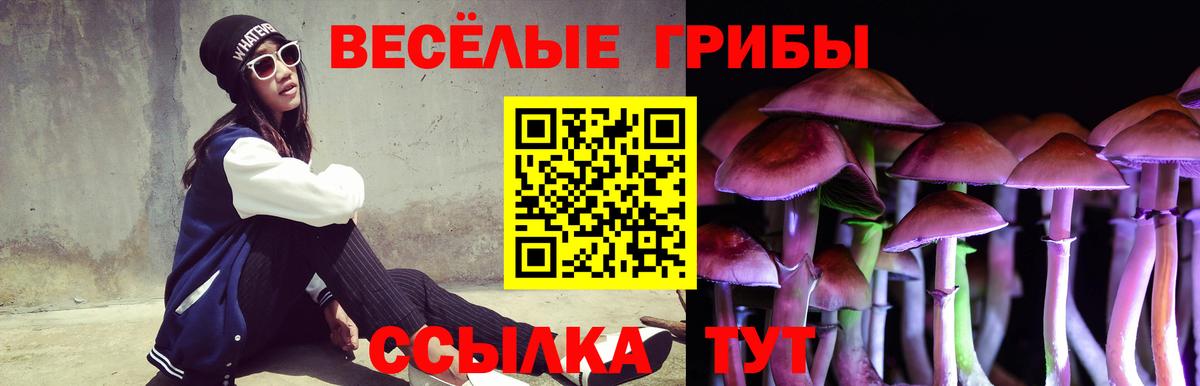 Галлюциногенные грибы Magic Shrooms  Псилоцибиновые грибы мицелий  Котлас 