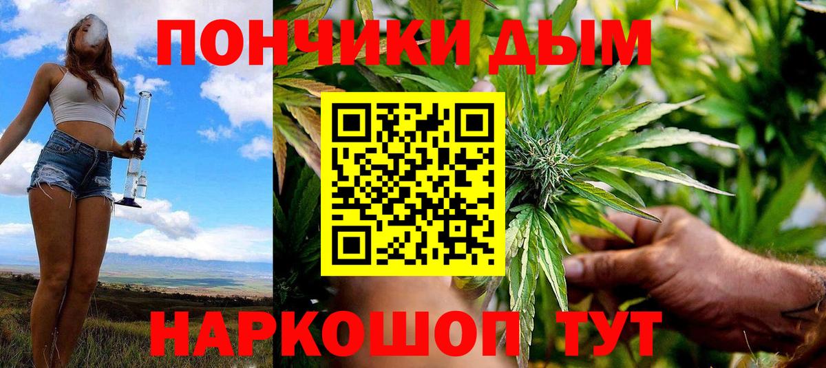 Шишки марихуана гибрид Котлас